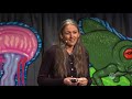 Monica gagliano  plant intelligence and the importance of imagination in science  bioneers