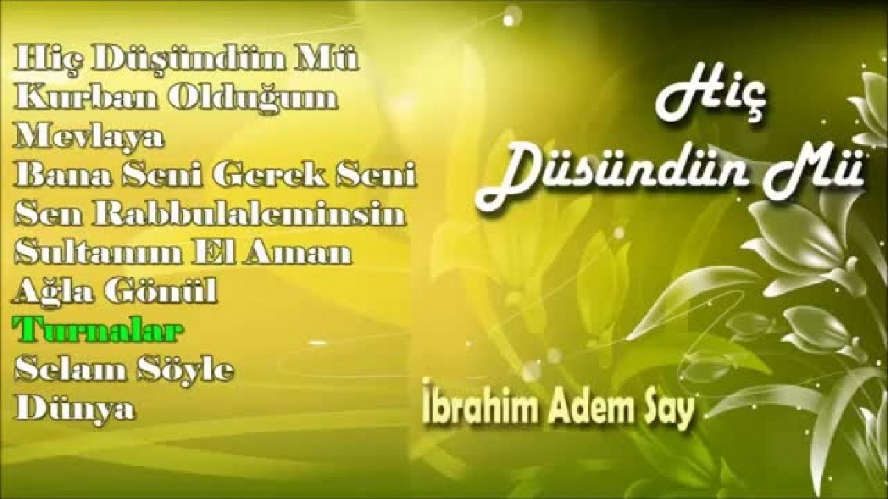 İbrahim Adem Say - Turnalar