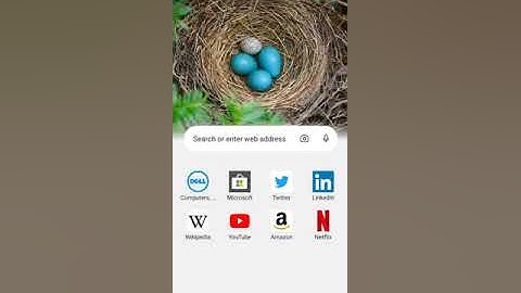 How to Enable Dark Mode in Microsoft Edge for Android