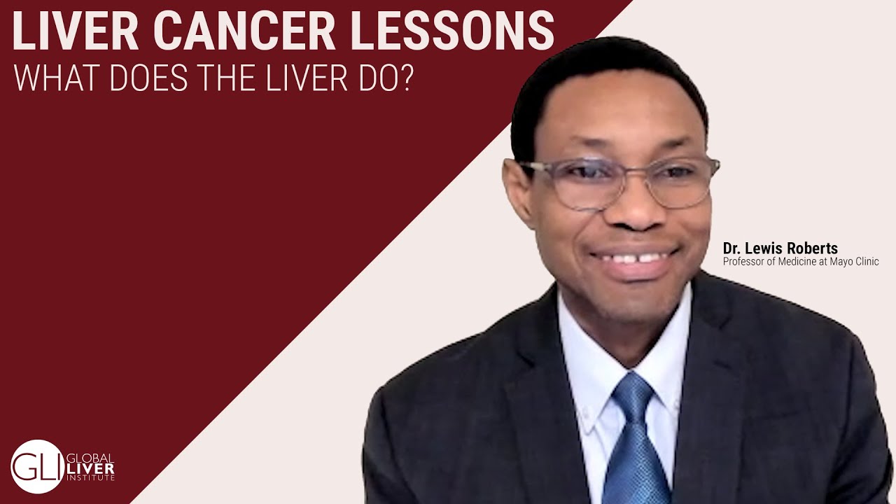 Liver Cancer Lessons: Understanding The Liver