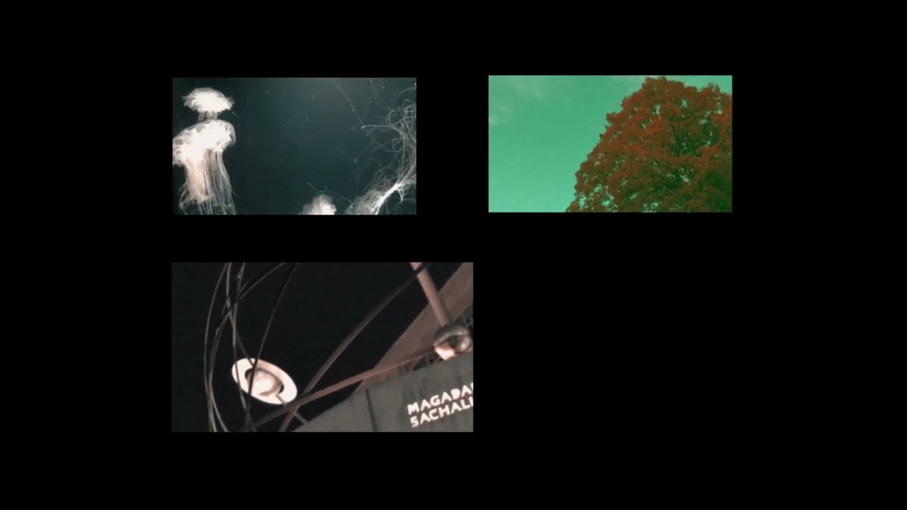 Tape Moon - Absent (Offical Video)