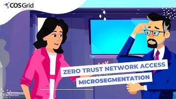 COSGrid MicroZAccess - Zero Trust Network Access
