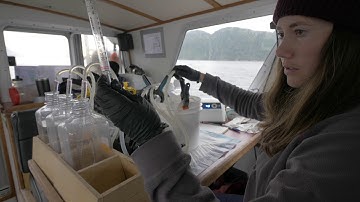 Terrestrial exports of dissolved and particulate organic carbon affect nearshore ecosystems of...