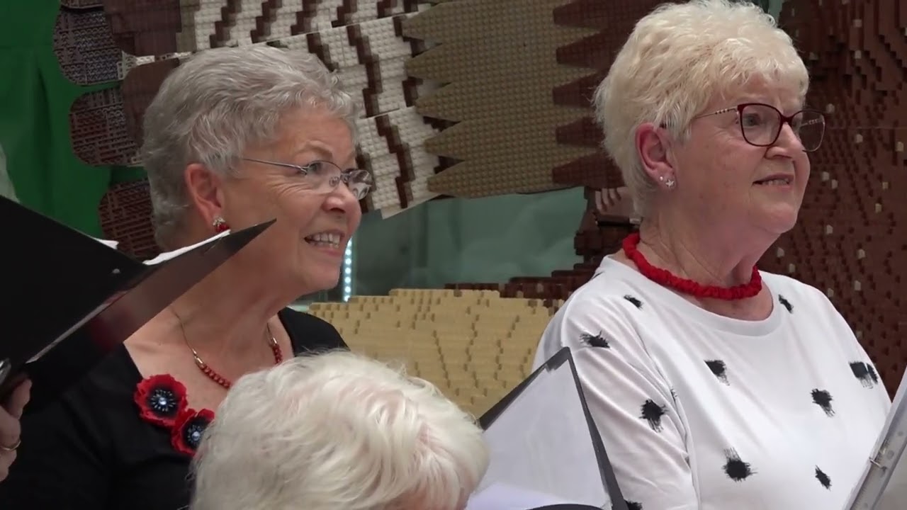 Silver Tones Summer Concert 2024