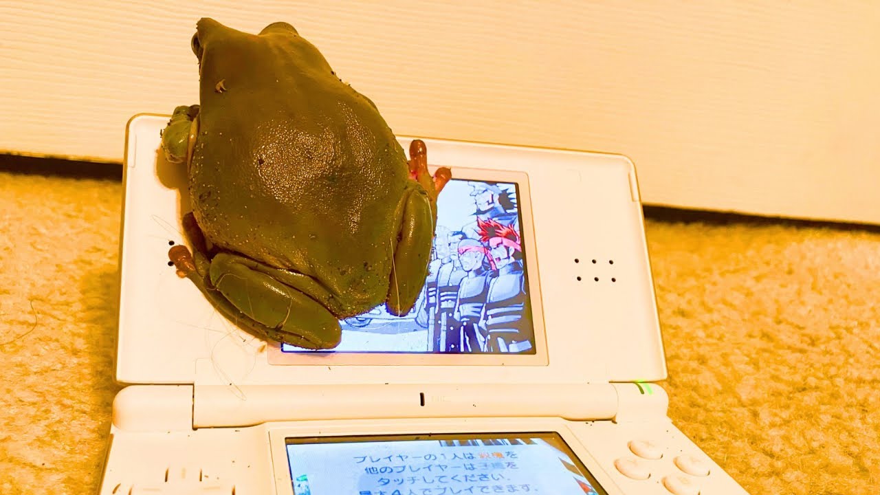 ゲーム機にカエルが乗っちゃったらどうしよう！？…いつか使えるかもしれない謎チュートリアルが注目集める | Game*Spark - 国内・海外 ゲーム情報サイト