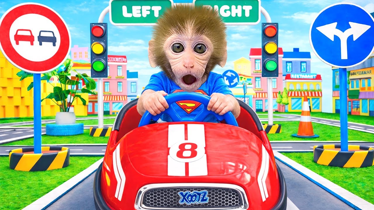 ลูกลิงน้อยบอนบอนพาครอบครัวทั้งหมดไปปิกนิกที่ลานตั้งแคมป์