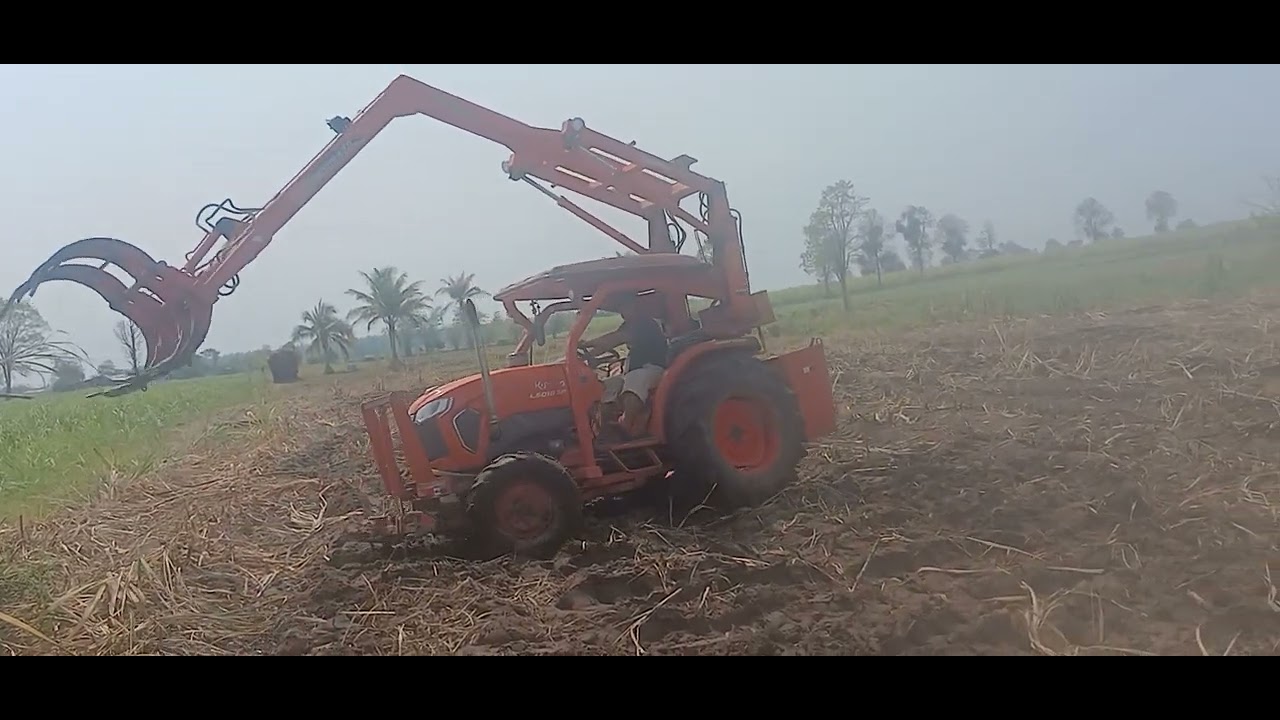 เสื่ยแมนคีบอ้อย