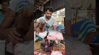 Giant Catla Fish Cutting- Ep 29 Mrfish