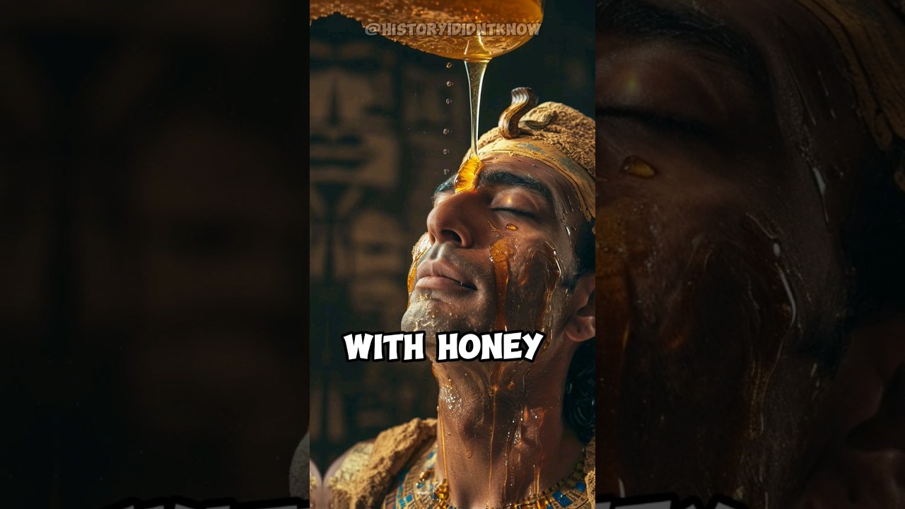 In Ancient Egypt Honey Was Smeared On Slaves #shorts #egypt  #funny