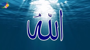 تلاوة مميزة لسورتي الشمس والليل بصوت الشيخ ياسر سلامة