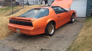 Trans Am Open Headers