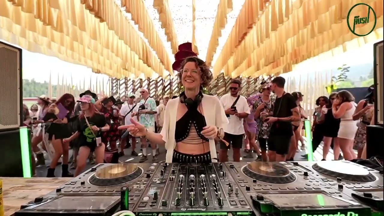 The Librarian at Keep Hush  Live: Bass Coast 2023