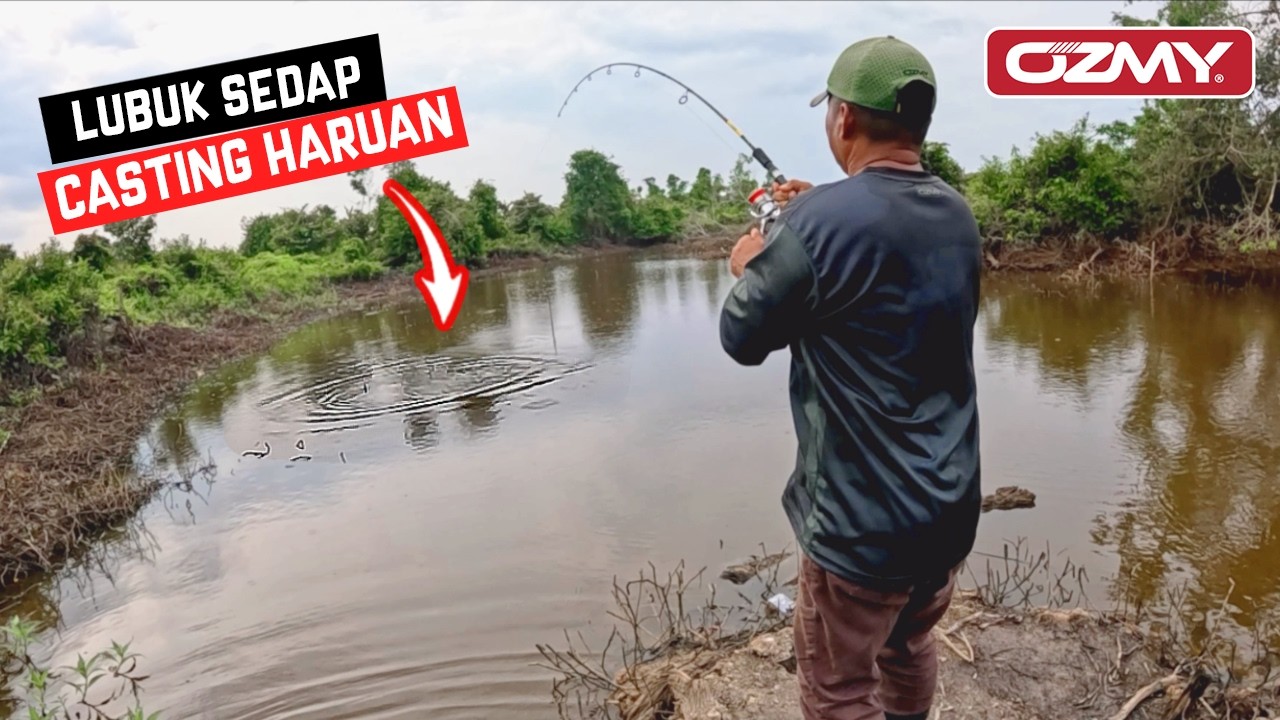 SUNGAI LAMA MMG BANYAK HARUAN BESAR!