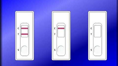 ABAcard using this link to an animation