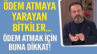 Ödem atmaya yarayan bitkiler... Ödem atmak için buna dikkat edin!