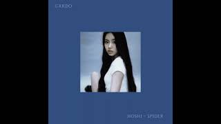 hoshi [ spider ] slow + reverb