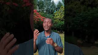 Seventh Day Adventist | Isiah 53 | Memorizing Scripture  #motivation #lifeisbutadream #biblechapter