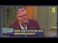 “The Dogfather” Graeme Hall Answers Your Dog Training Questions | Vanessa