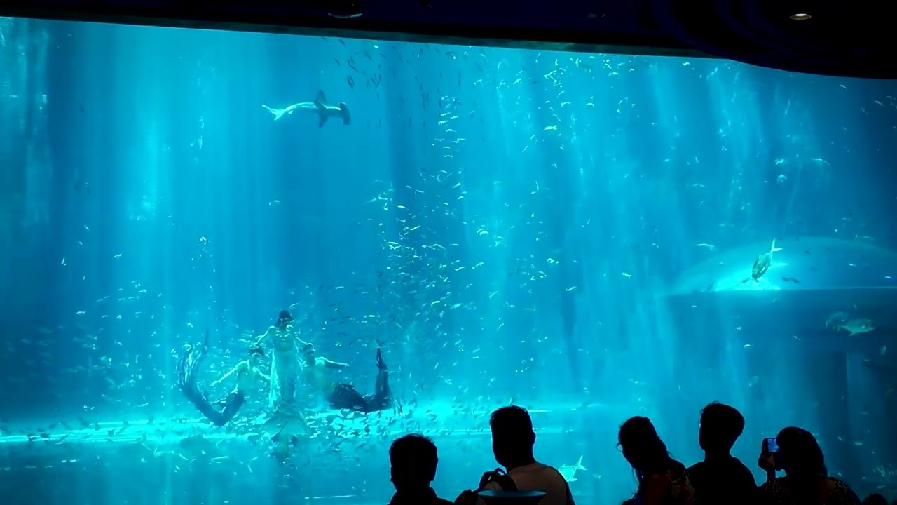 Phu Quoc Island || VinWonders - Mermaid Show
