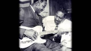 OTIS SPANN - LOOKS LIKE TWINS