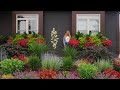 How to Fertilize Your Flowers | Container Gardening Tips & Maintenance | Window Box Full July Lesson