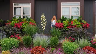 How to Fertilize Your Flowers | Container Gardening Tips & Maintenance | Window Box Full July Lesson