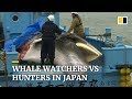 Resumption of commercial hunting overshadows Japan’s boom in whale-watching tourism