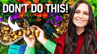 10 Garden Design Mistakes to Avoid This Fall