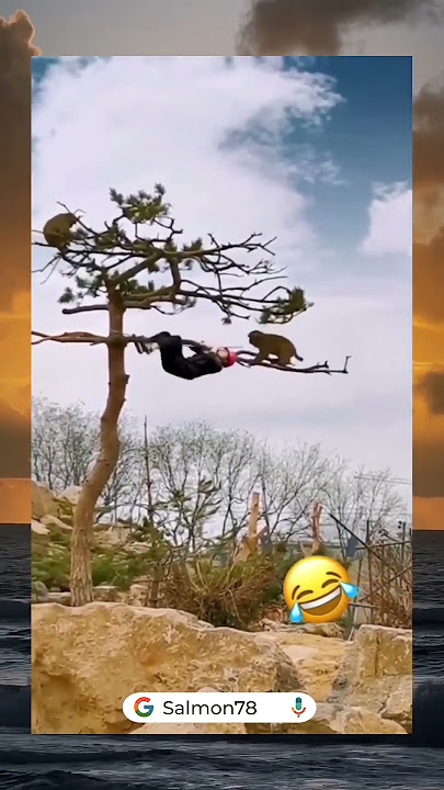 jangan teriak teriak napa🤣 #kocak #fypシ #viral #salmon78 #monyetlucu #monyetjinak #kelakuanwargabumi