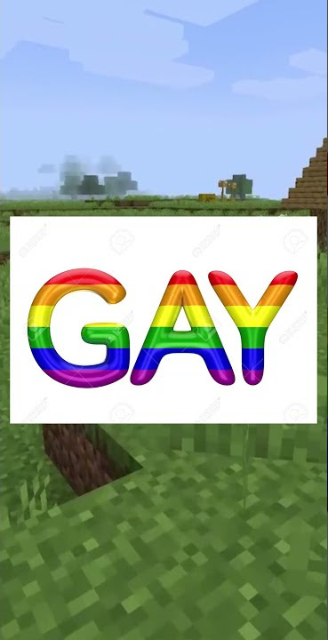 minecraft but im gay