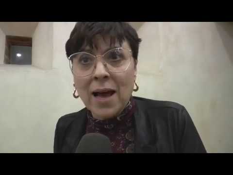 italian greyhound Abbiategrasso. Scuola, 