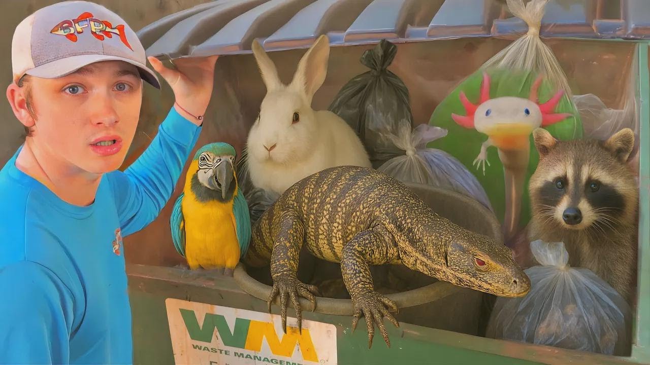 Pronašao sam žive životinje u kontejneru iza pet shopa!