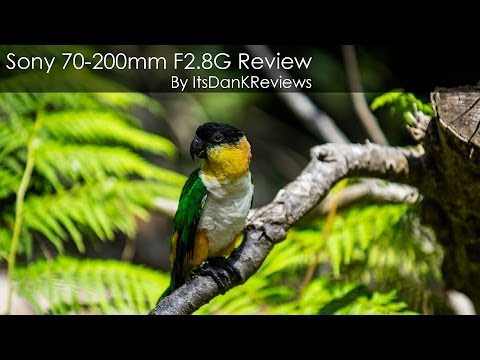 Sony 70-200mm F2.8G SSM II Review on the Sony A7