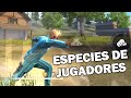 ESPECIES DE JUGADORES FREE FIRE- Dshanto