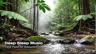 Forest River ASMR for Deep Sleep 💧 Calming Nature Sounds & Relaxation