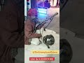 Appreciate &amp; Spread The Hidden Talent Video - Unexplored Music Artist