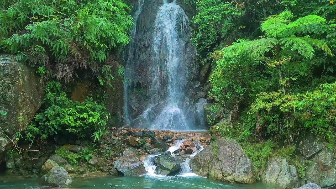 Soft River Ambience | Natural White Noise to Focus and Unwind
