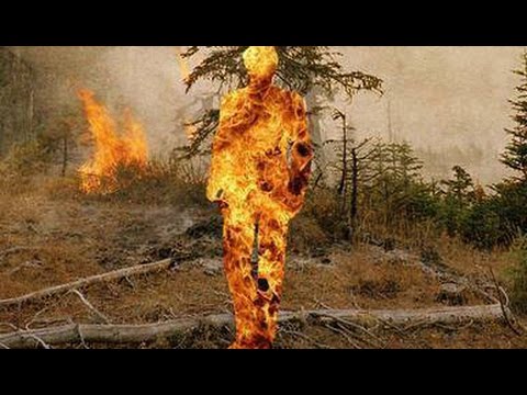 Dayseeker - Hollow Shell