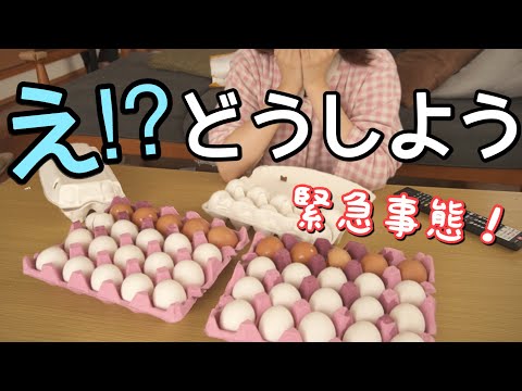 【絶望】大量の卵が届いて唖然。期限内に消費したいズボラ主婦の奮闘