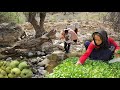 🏔️ Adventure with nomads in the mountains | Picking wild pears 🍐"