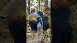 Survival Skills:😫😮😄easy methoodsaving water transfer tobottle #camping#bushcraft#water#smart
