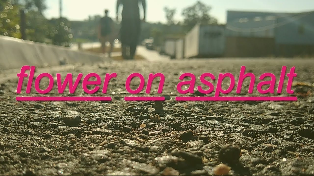 flower on asphalt YouTube