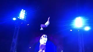 IMG 6454