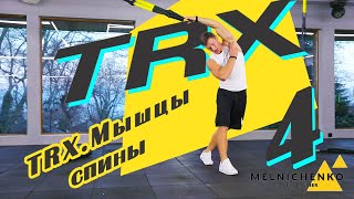 TRX. Мышцы спины