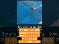 #水泳 #競泳 #泳ぎ方 #バタフライ #平泳ぎ #背泳ぎ #クロール #クイックターン #水中動画 #ターン
