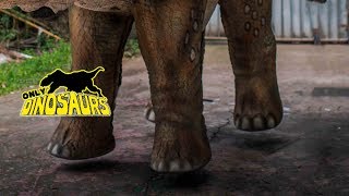 Funky Triceratops Quadsuit