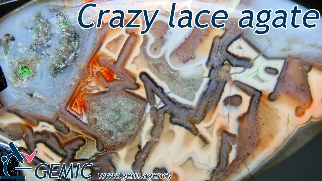 Leabhar Mór an Eolais - An Siopa Leabhar, image size:1280x720