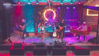 Magnolia Boulevard Sugarshack Downtown Livestream
