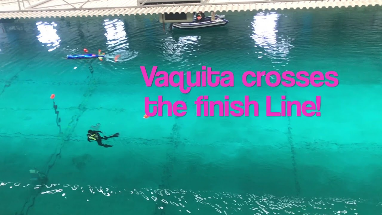 UC San Diego: Vaquita @ European International Submarine Races - YouTube
