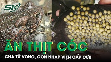 Ăn thịt cóc, cha tử vong, con nhập viện cấp cứu | SKĐS